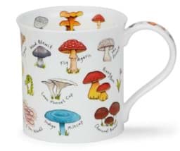 Zeige Details für Dunoon Bute Mushrooms & Toadstools by Kate Mawdsley Bild von Dunoon Bute Mushrooms & Toadstools by Kate Mawdsley